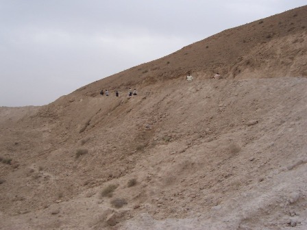 صورة من اسف الوادي
